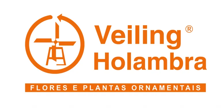 Veiling Holambra